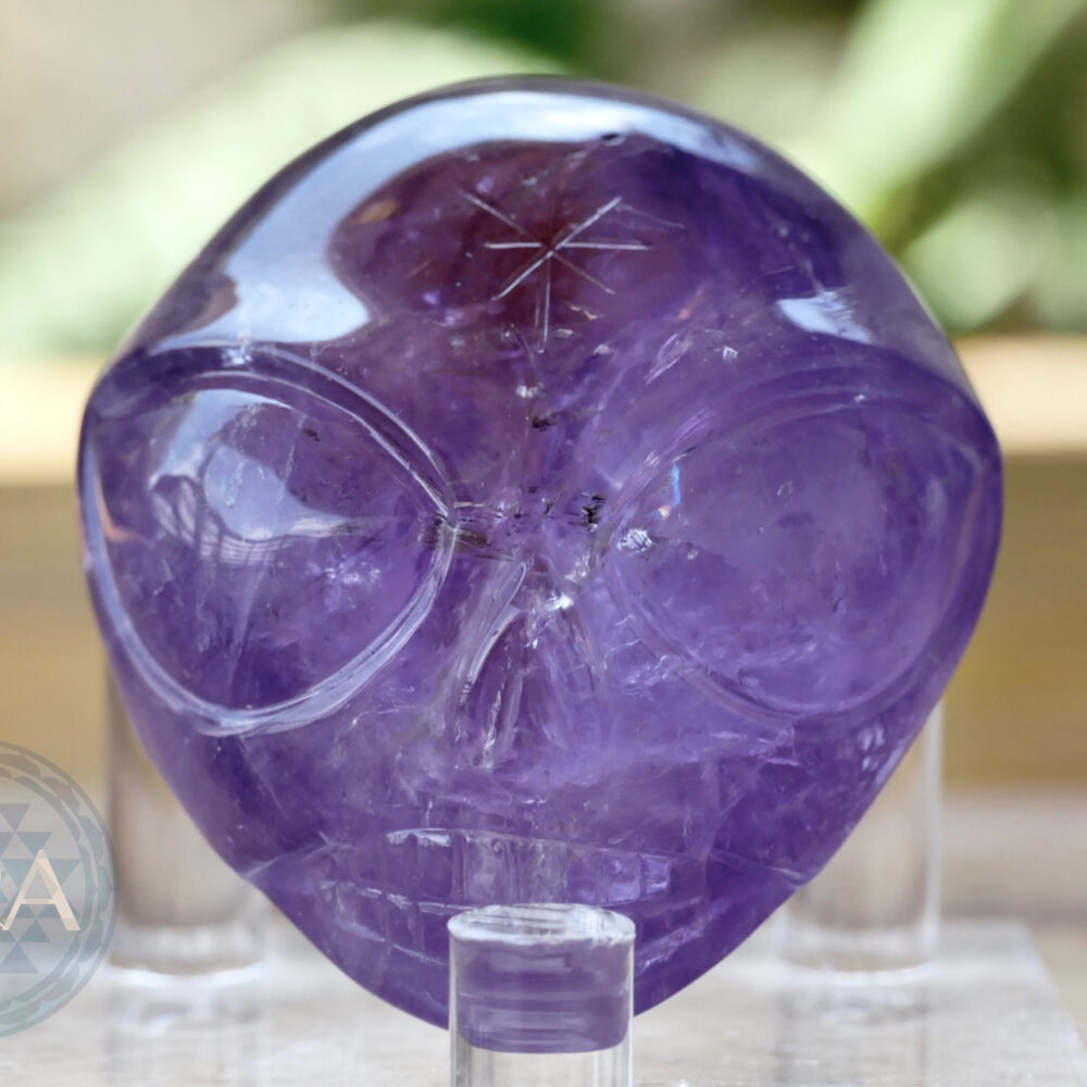 [HOME] Ametrine Starbie Palm Skull 125