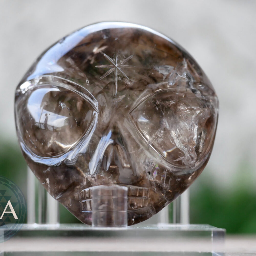 [HOMED] Smoky Quartz Starbie Palm Skull 174