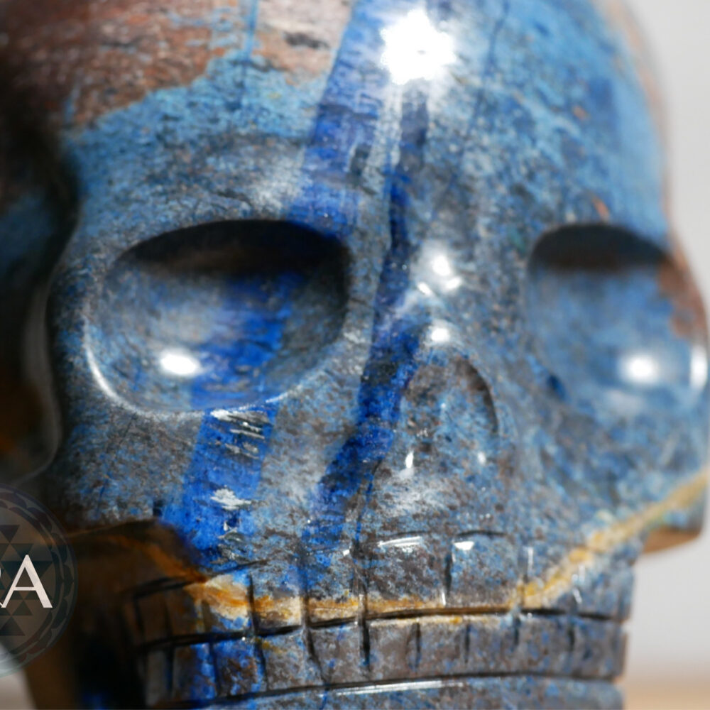 [HOMED] Blue Rhodonite MC Skull 615