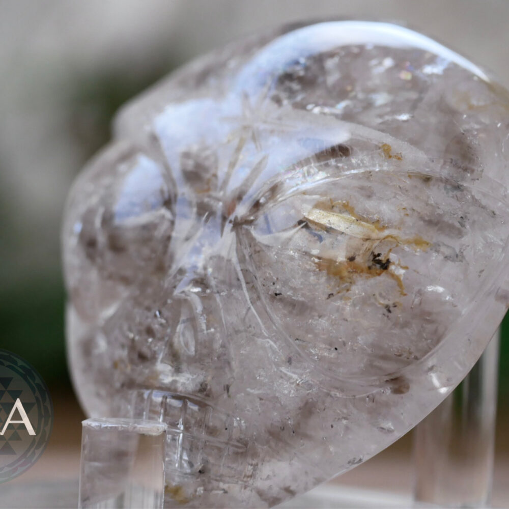 Smoky Elestial Quartz Starbie Palm Skull 175