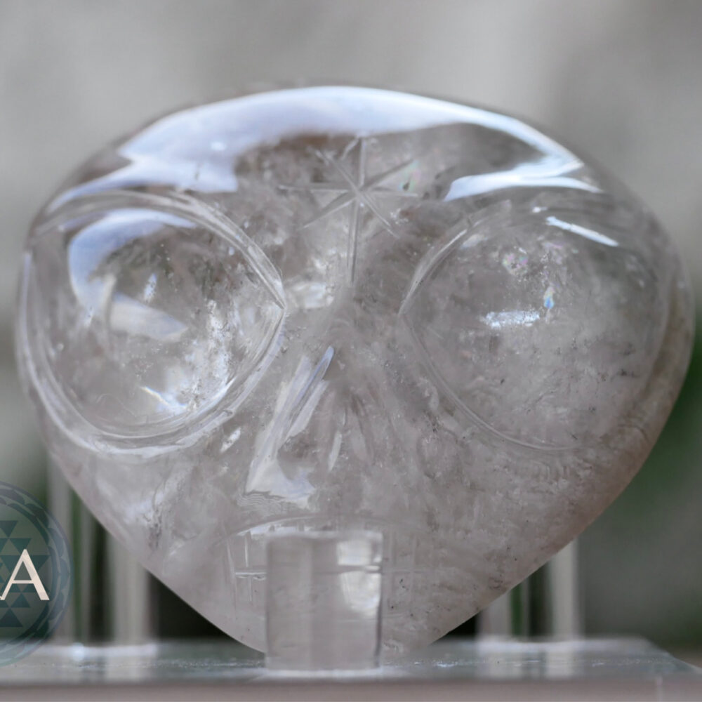 [HOMED] Lodolite Clear Quartz Starbie Palm Skull 138